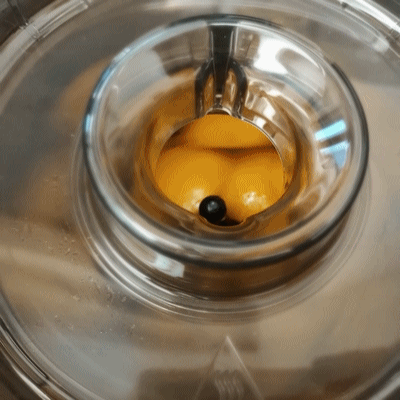 新鲜黄桃两种吃法：黄桃雪葩+黄桃罐头（短期长期两种储存制作方法）的做法 步骤13