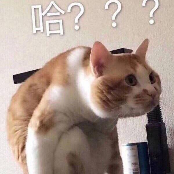 爱做菜的天猫铲屎官