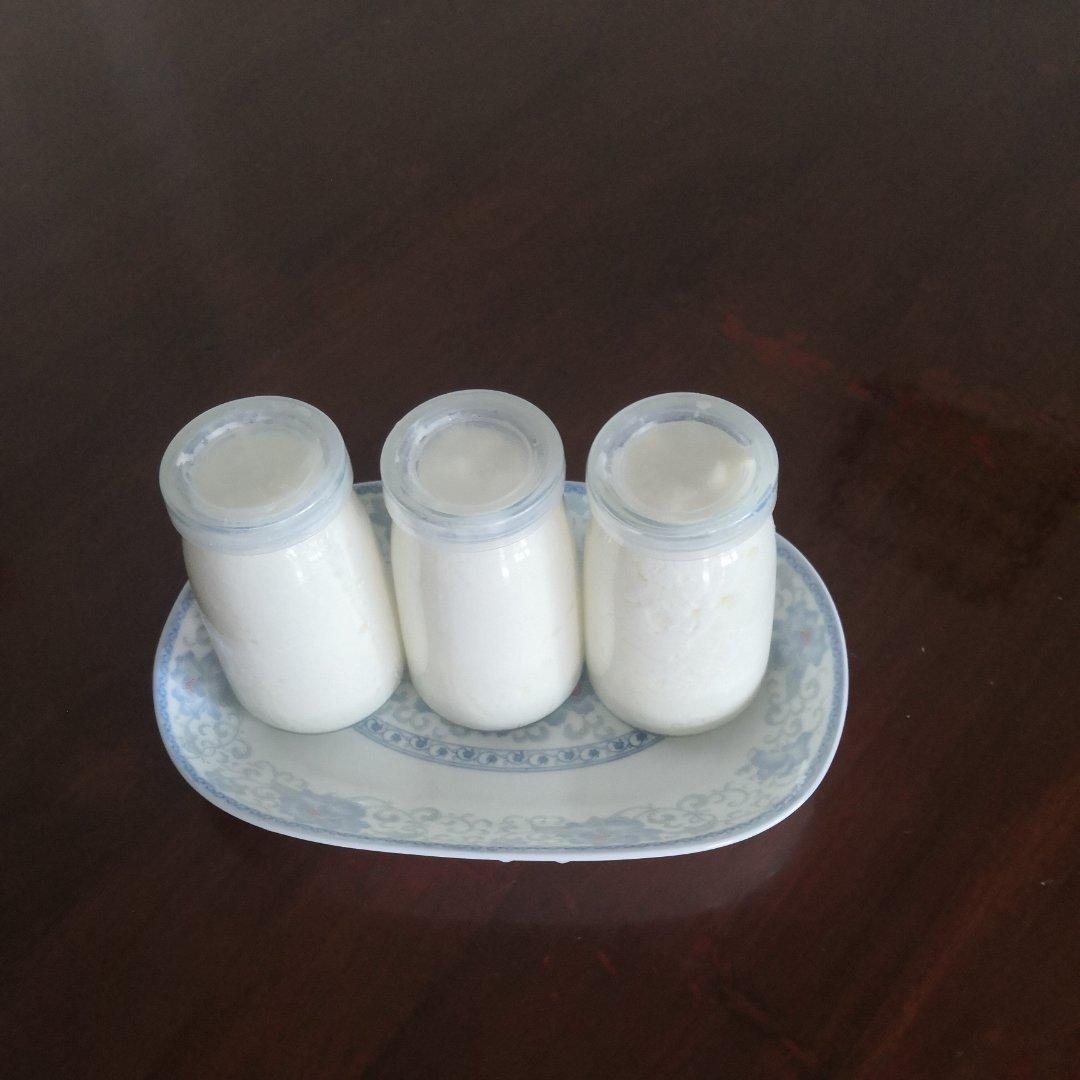 酸奶，自制酸奶，浓厚醇香