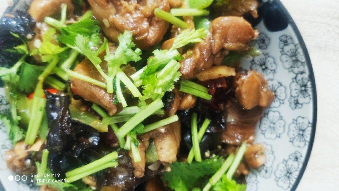 不像辣子鸡的辣子鸡