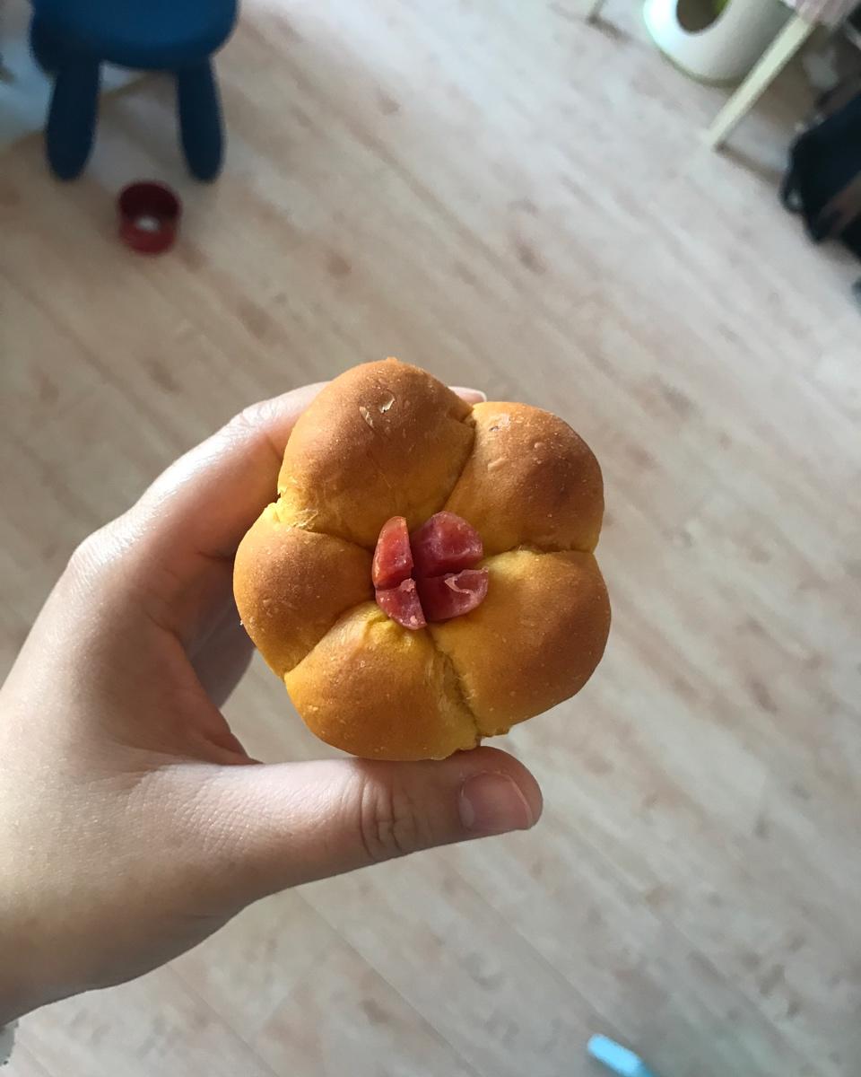 今天糕子吃什么
