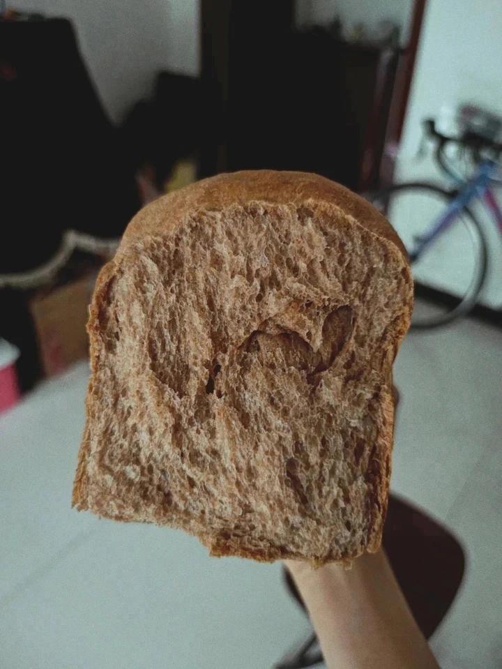 双种芝麻全麦吐司 100%全麦 烫种+波兰种