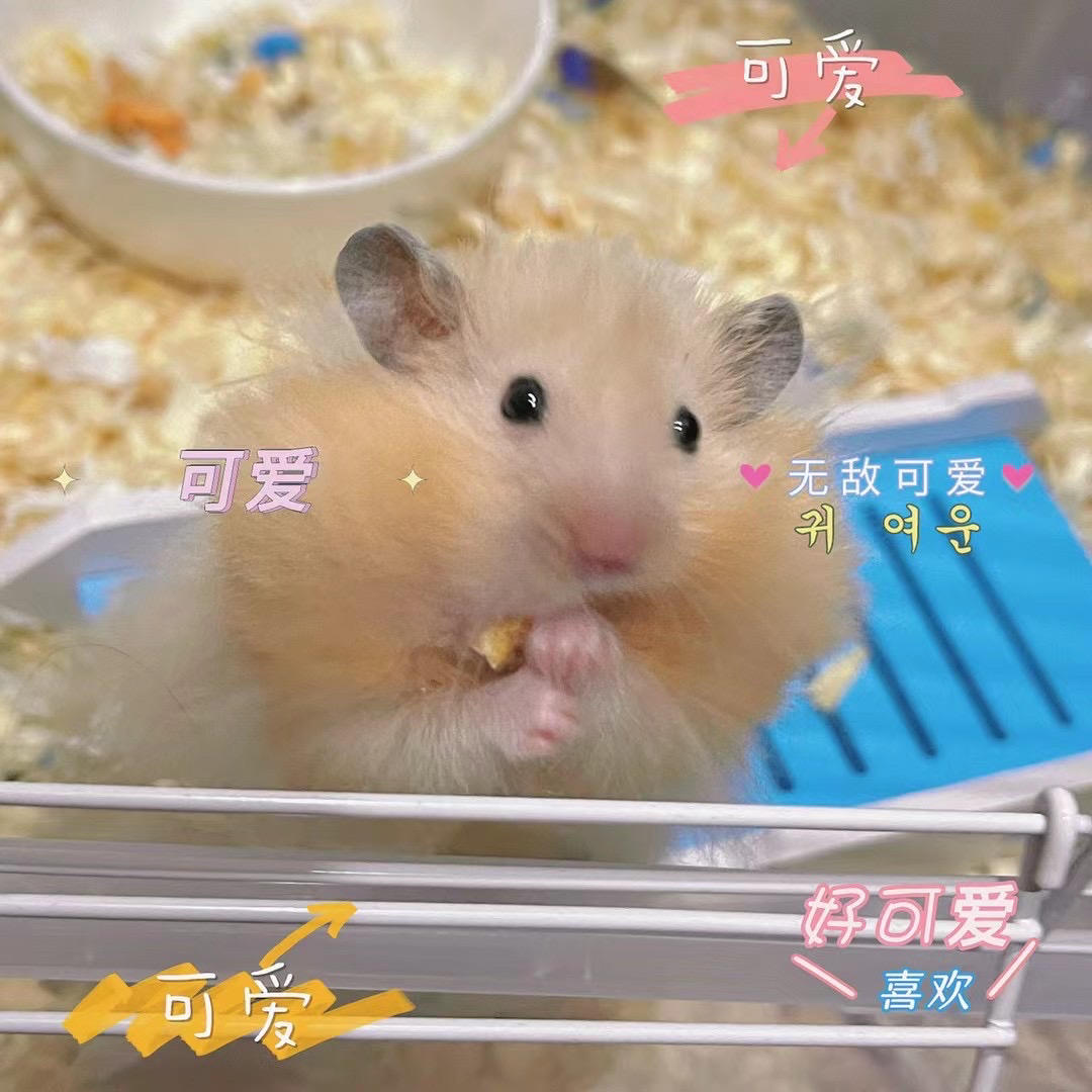 下厨房用户_fz9aa