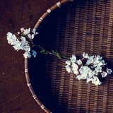 simplelife0926