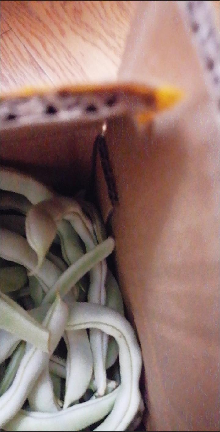 蛋糕卷这样做‼️不掉皮不开裂（小视频食谱）