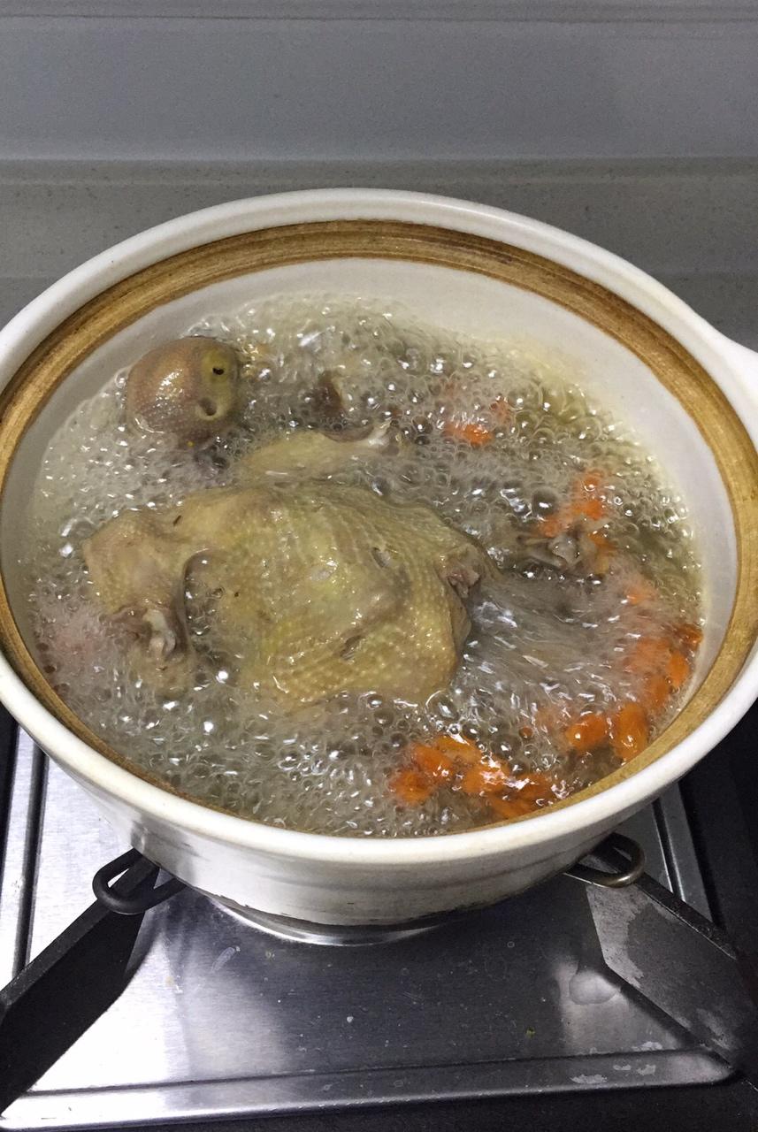 dlring做的炖鸽子汤