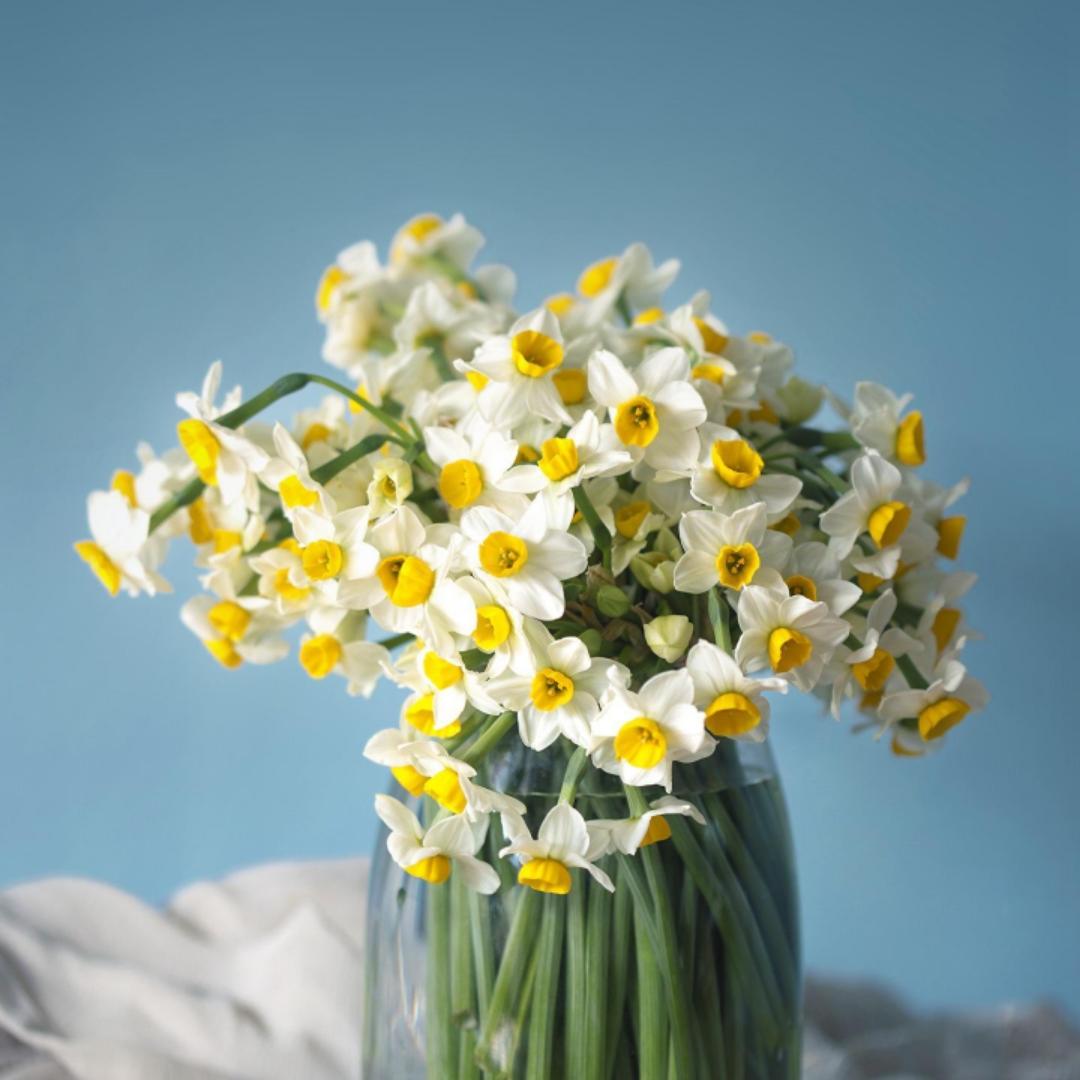 八零年的十一月