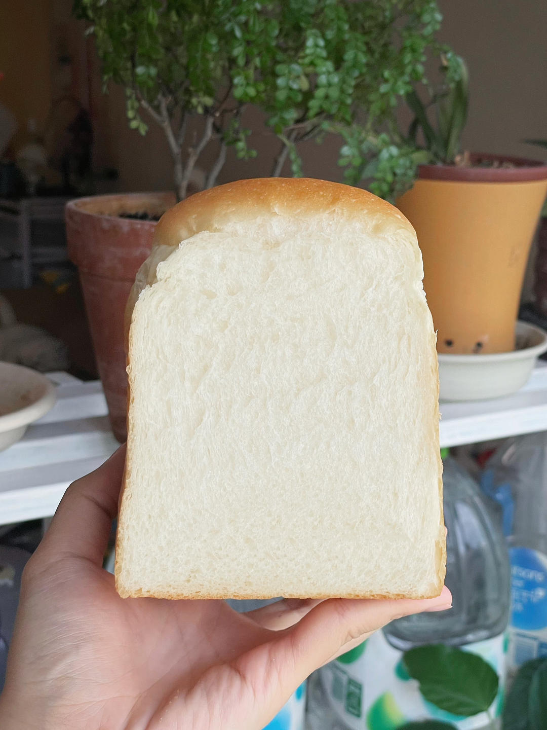 海盐豆乳北海道吐司