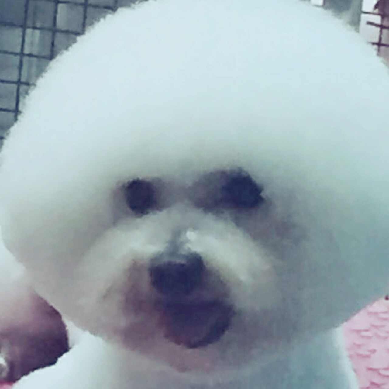 任卡卡