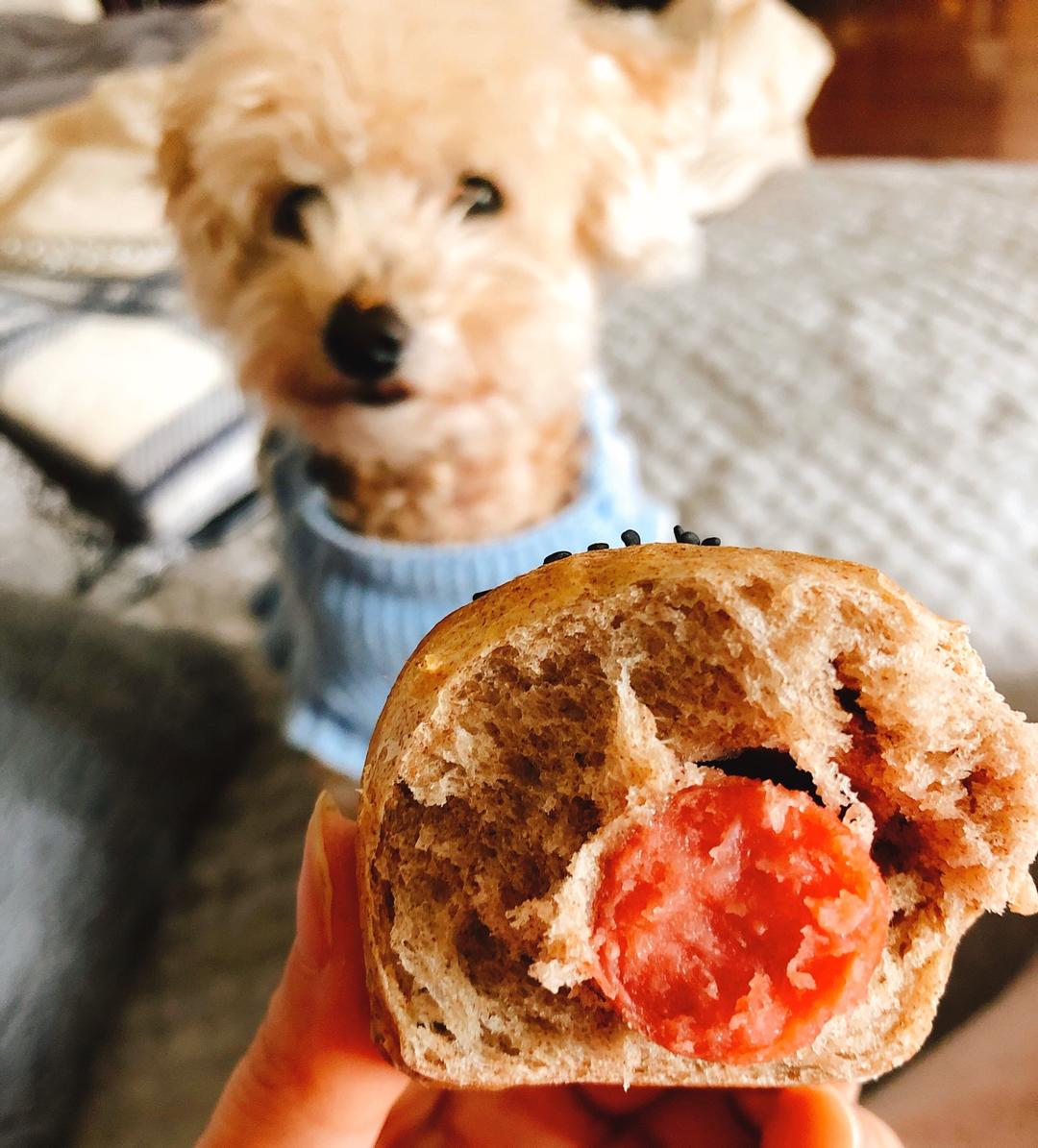 脆皮肠仔包（波兰种）