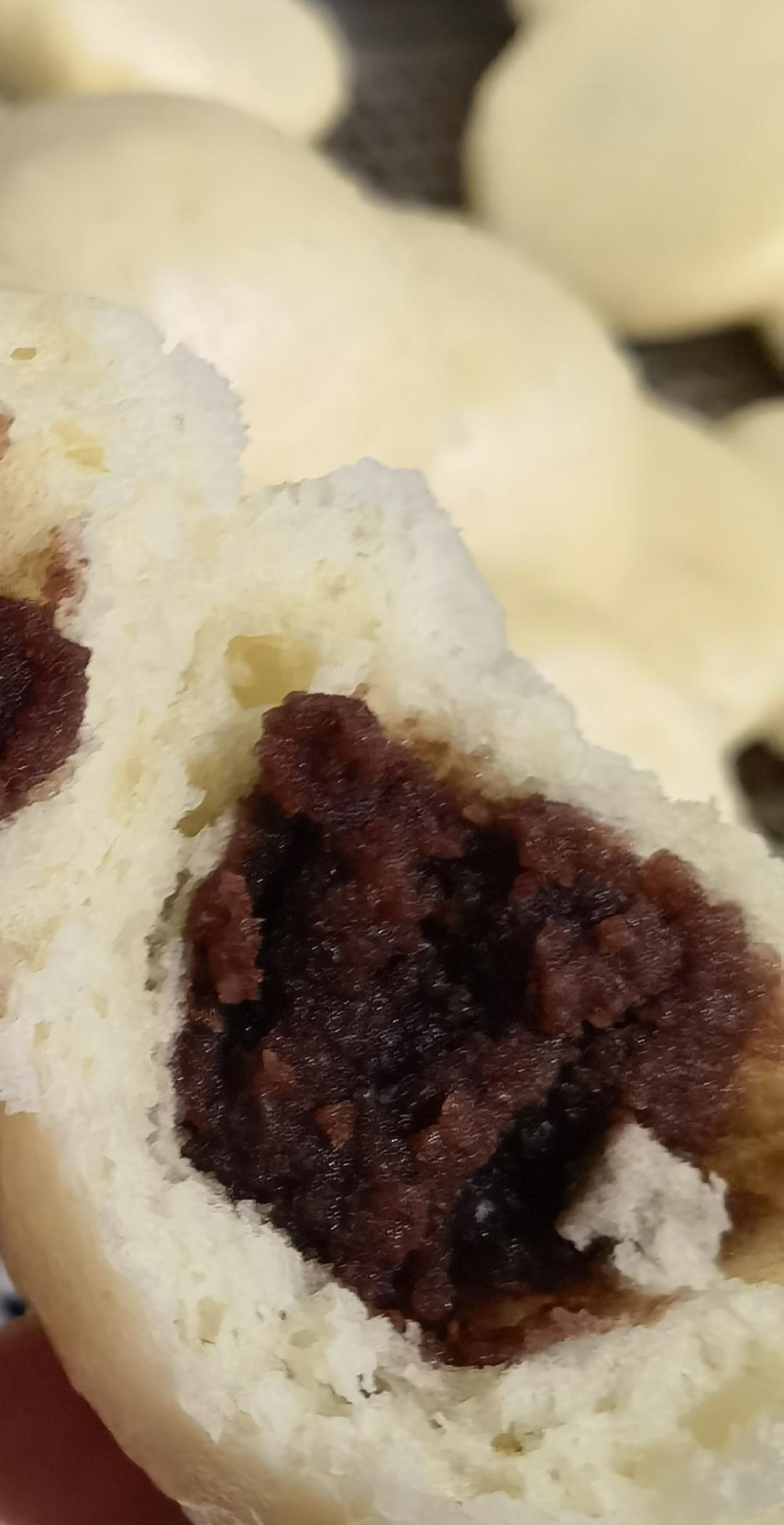 豆沙包（一次性发酵）