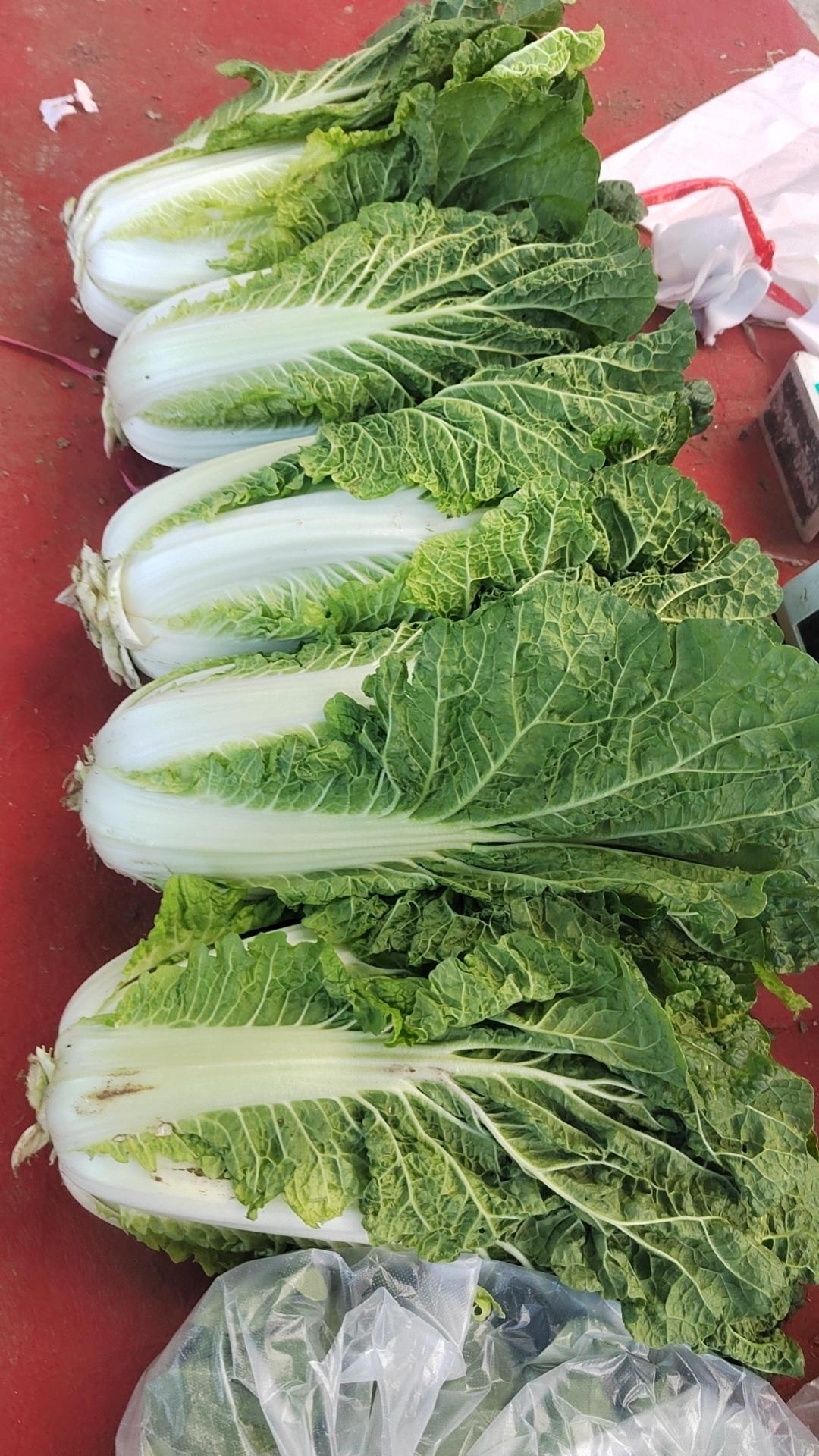 土豆炖豆腐