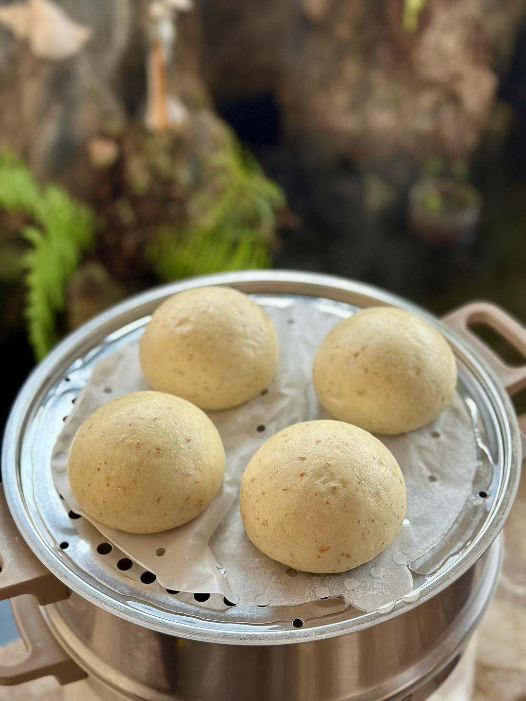 鲁邦种/老面馒头（粗细&风味可调）