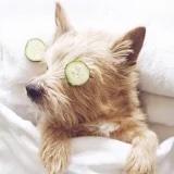 另一个墨玉久久