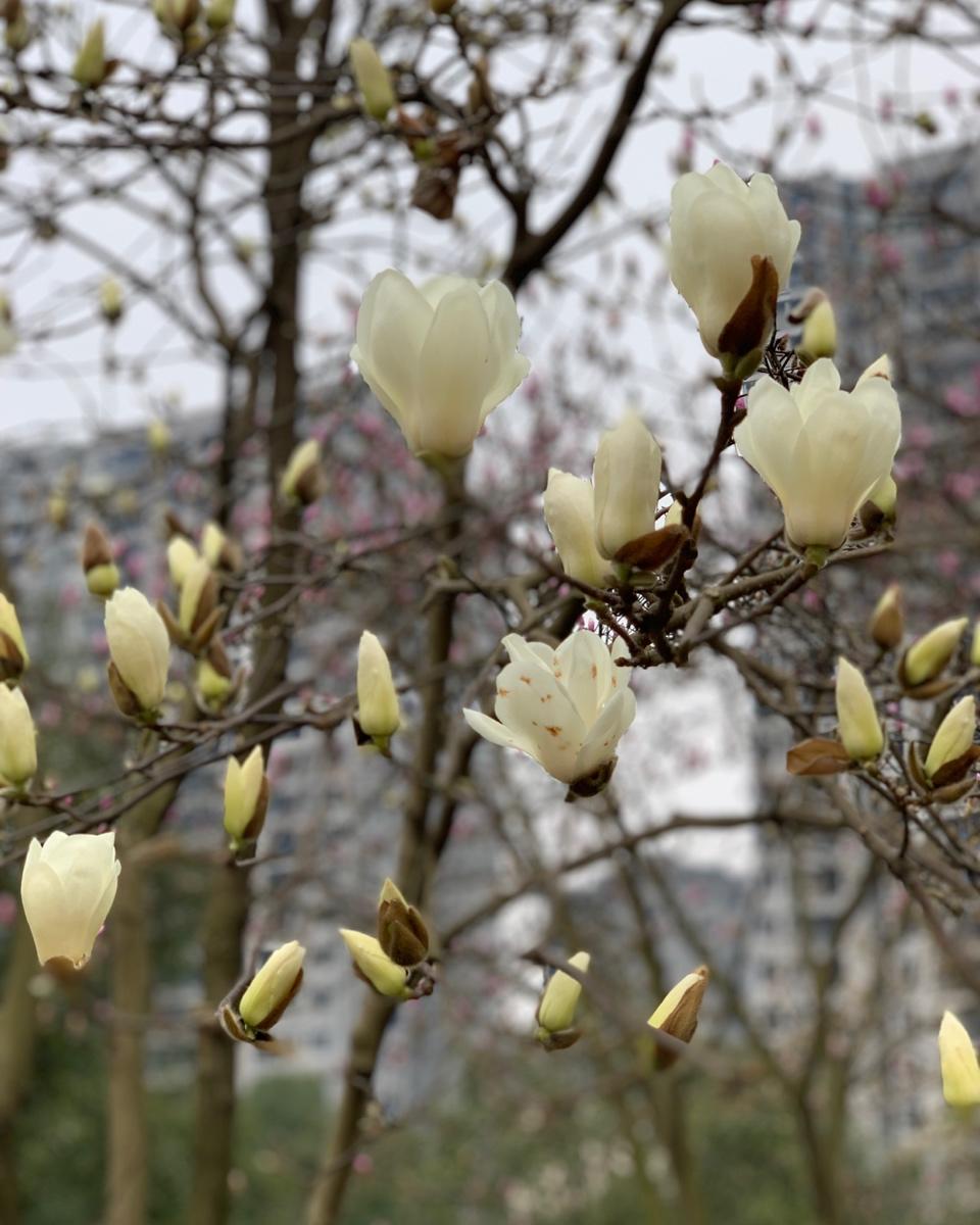 晚餐•2019年2月21日