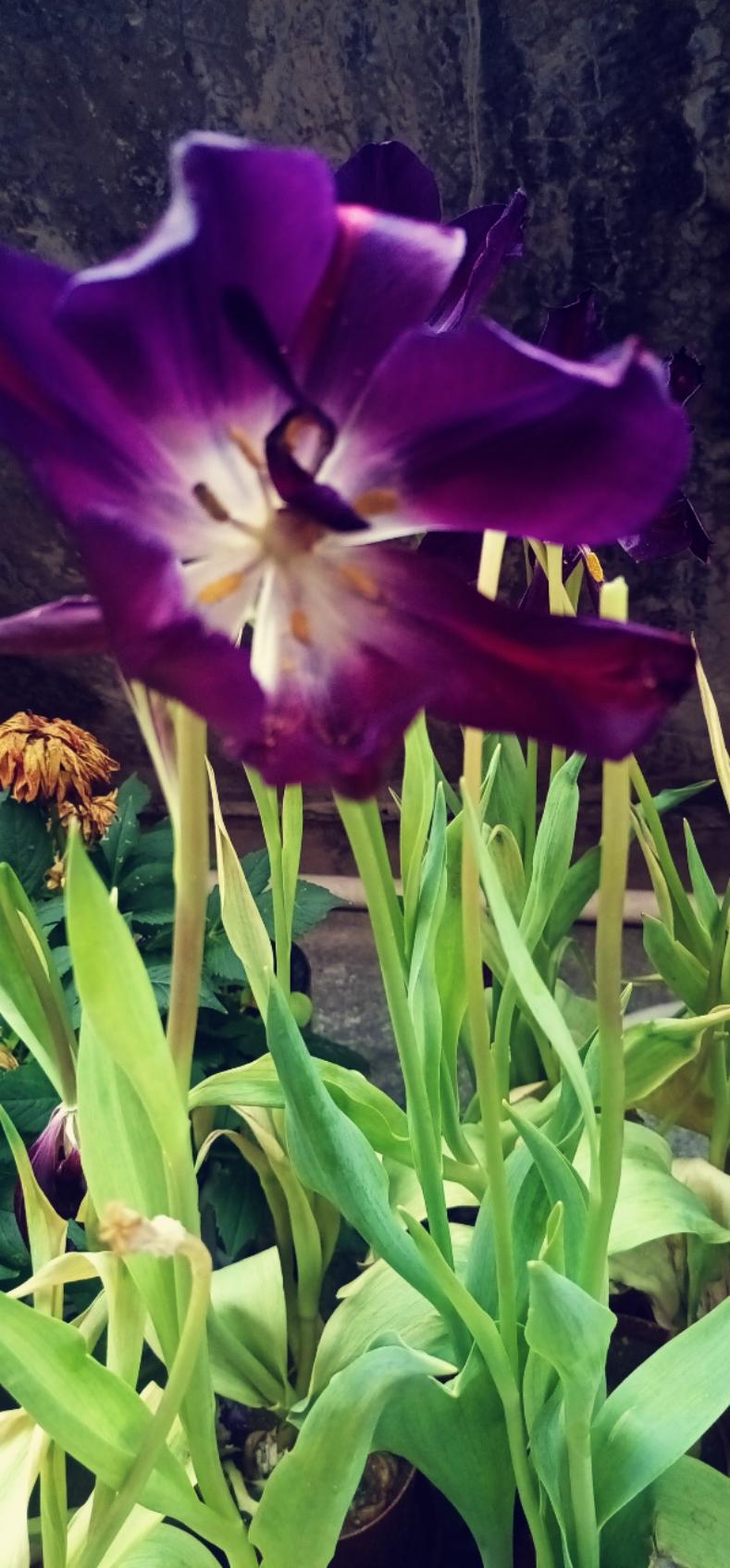 下厨房用户_9y8hc