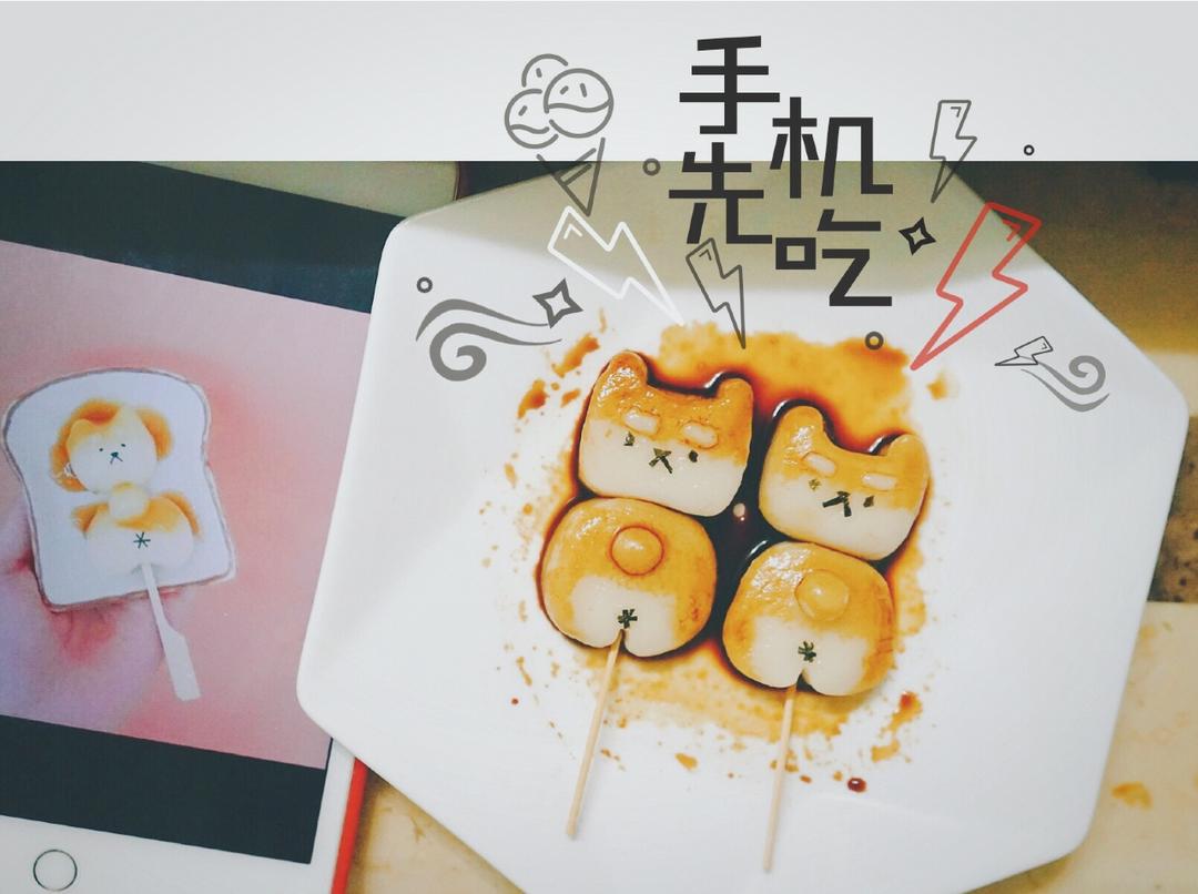 巨萌的柴犬团子