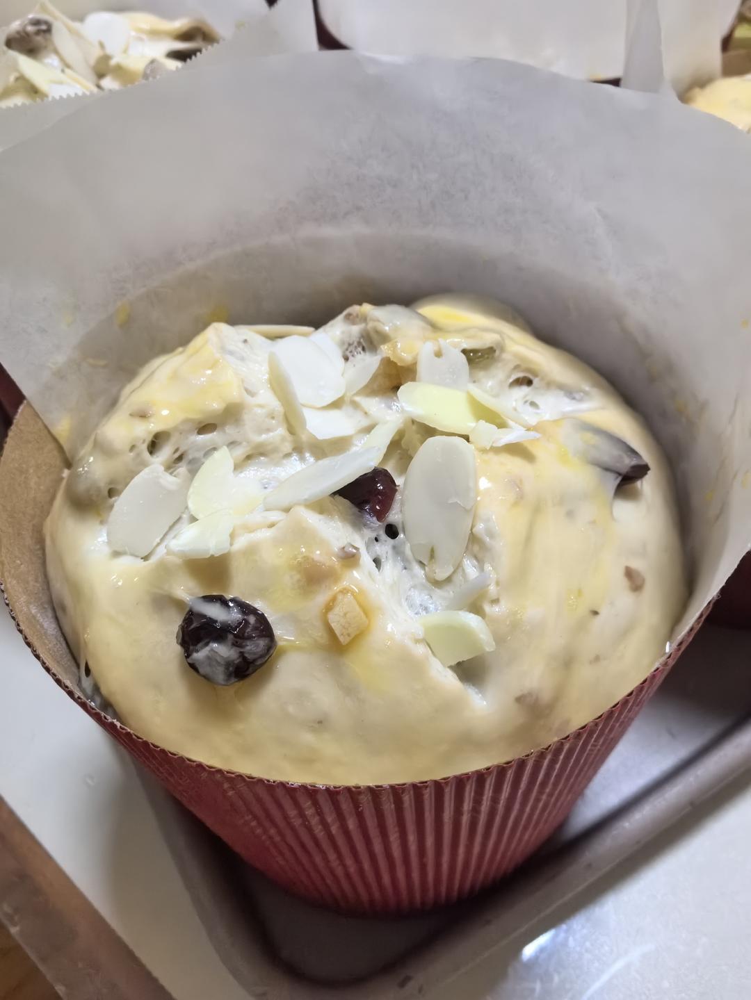 圣诞面包--潘娜托尼Panettone