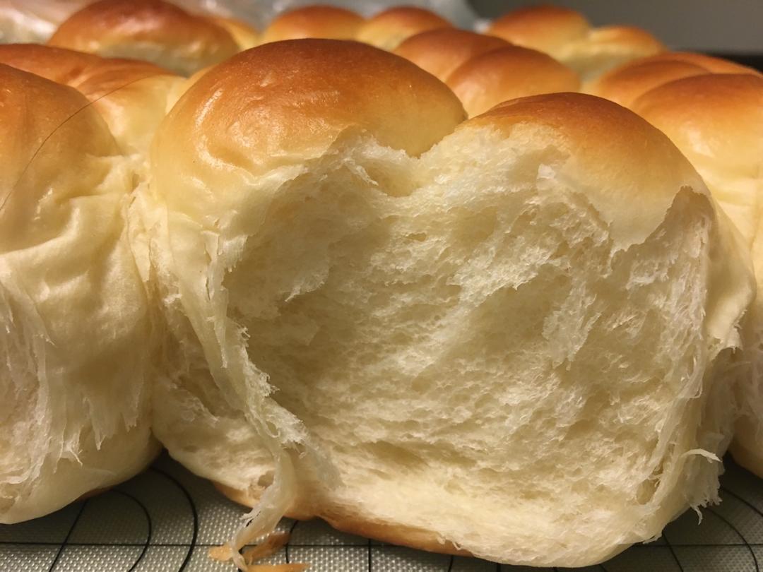 老面包（爱和自由）