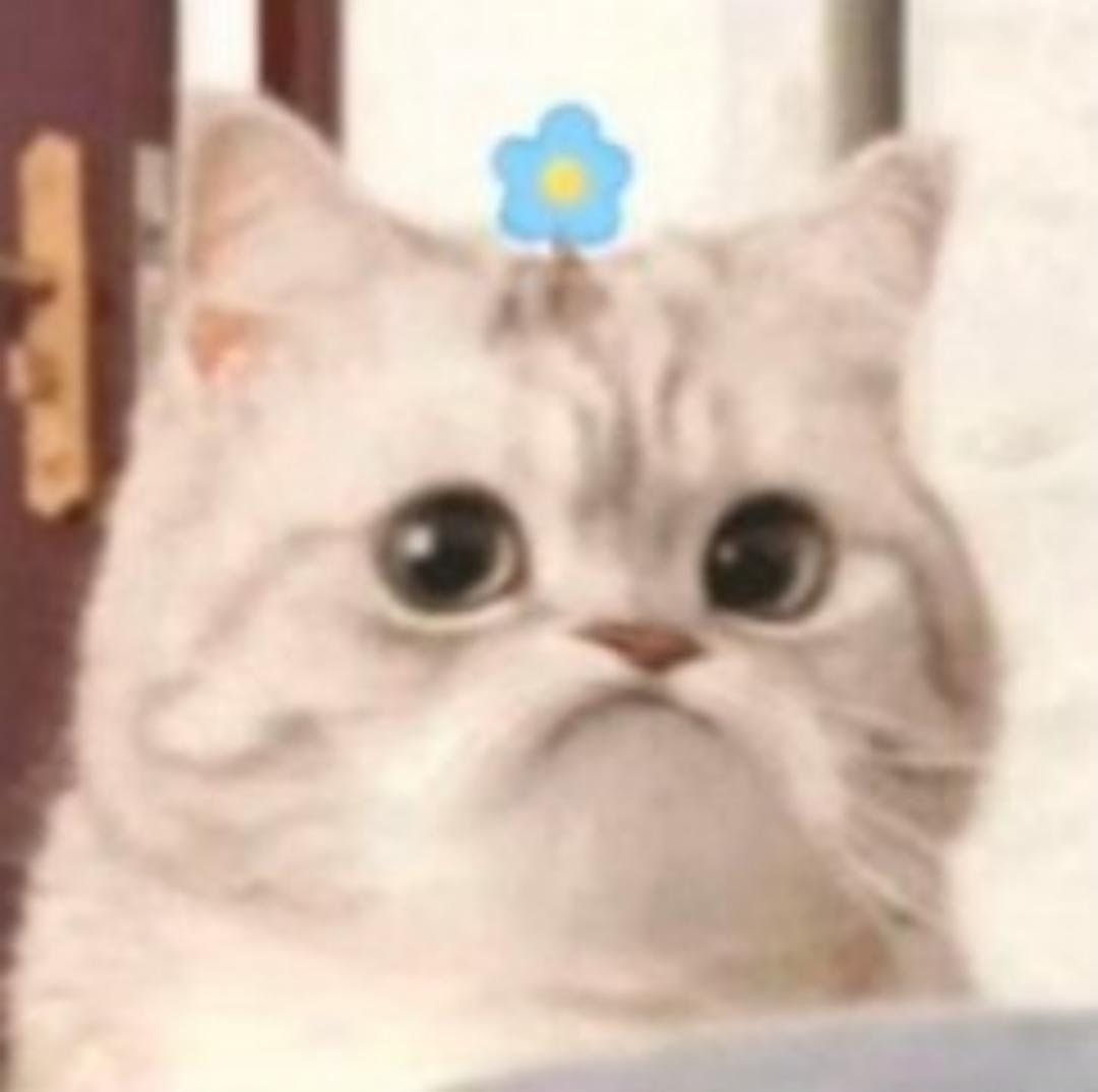 翰墨子璃的猫