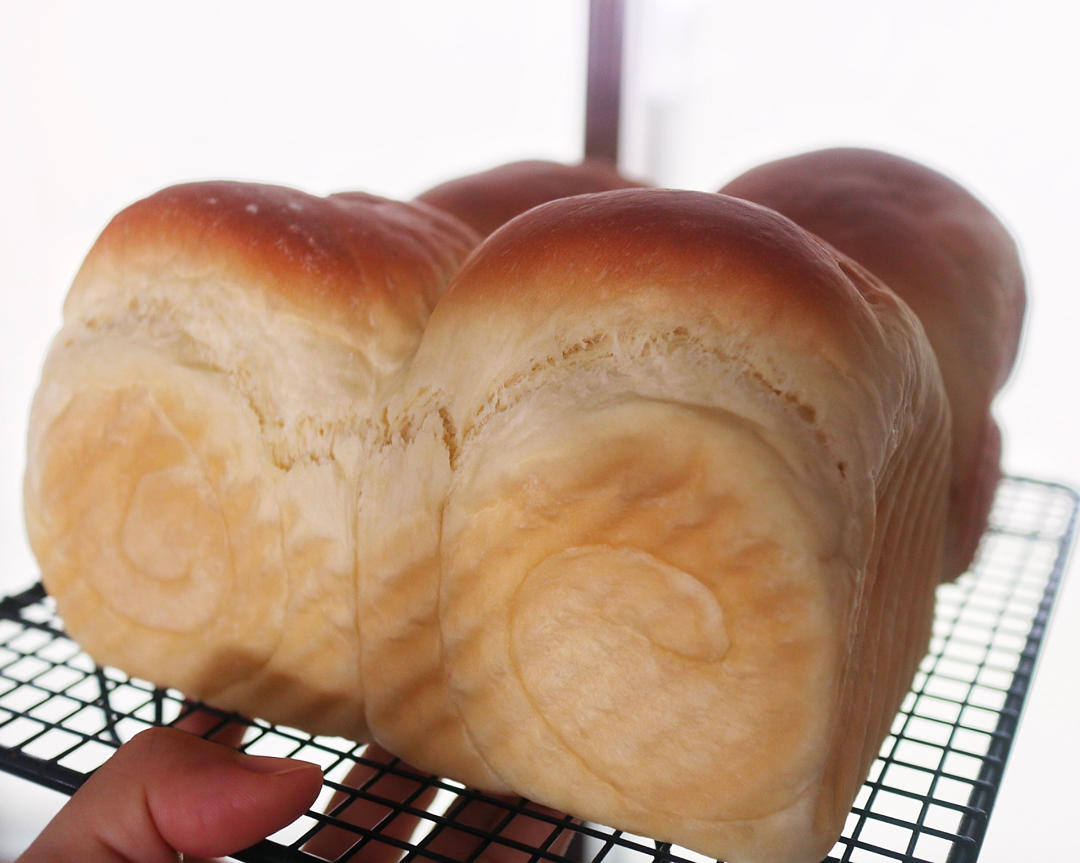 牧场鲜奶吐司🍞｜一次发酵｜吴克己老师经典吐司