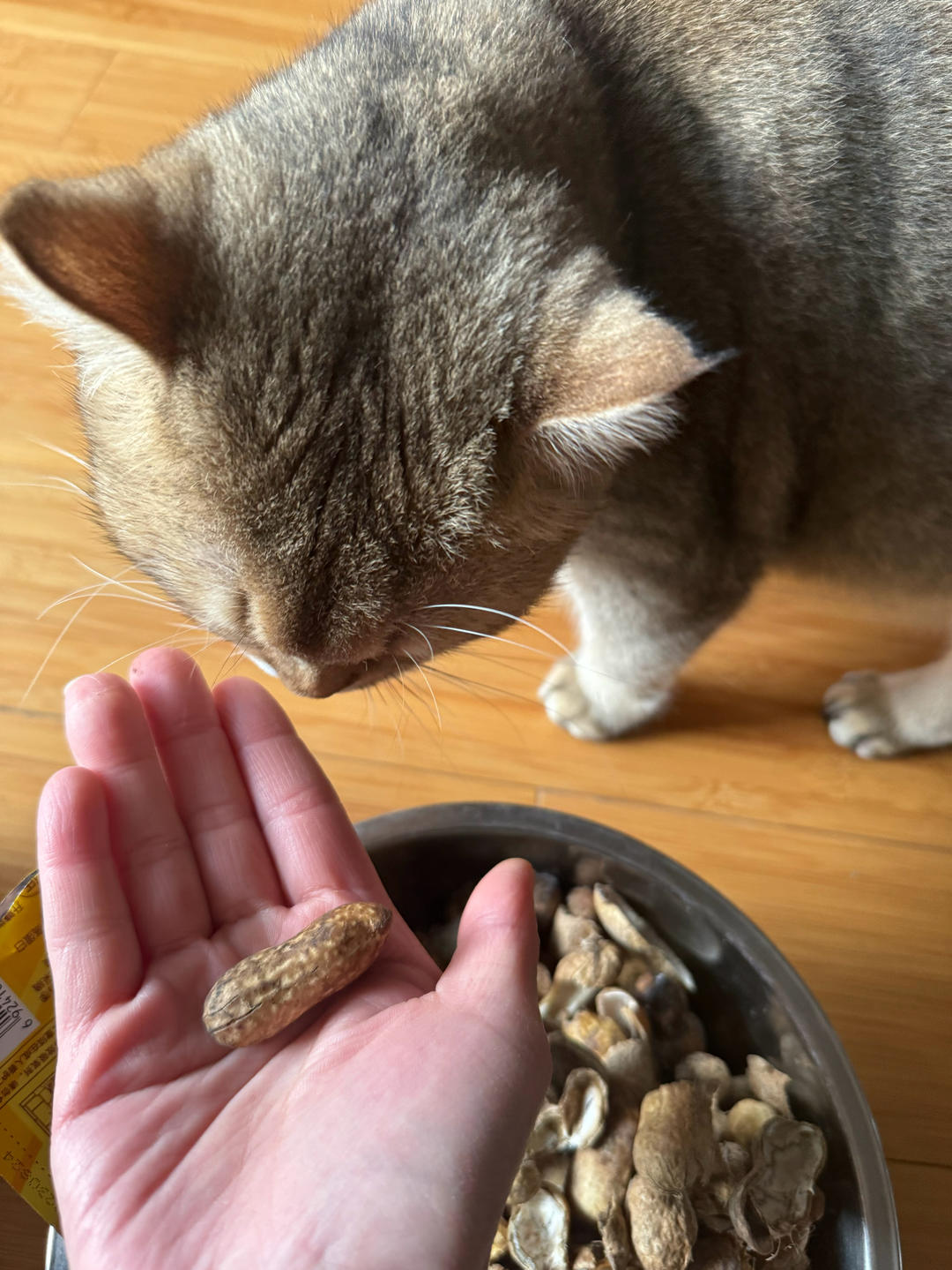 自制花生🥜酱的做法