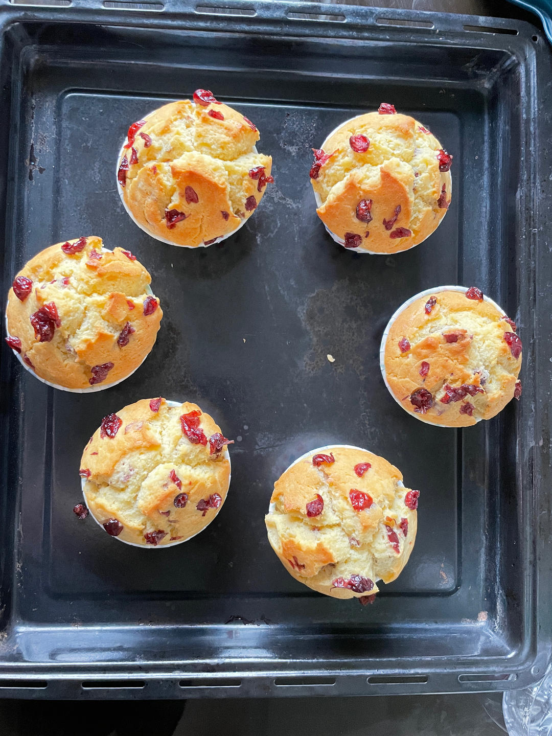 快手「蔓越莓马芬蛋糕」