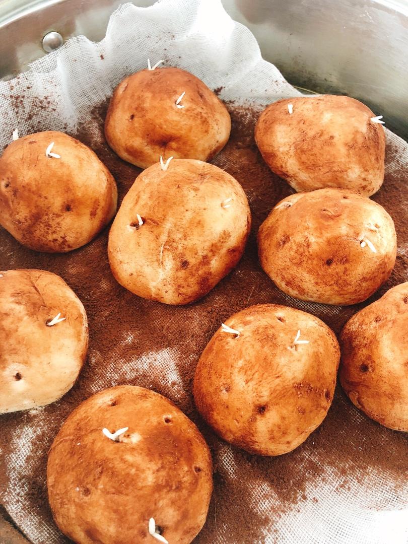 仿真土豆🥔馒头