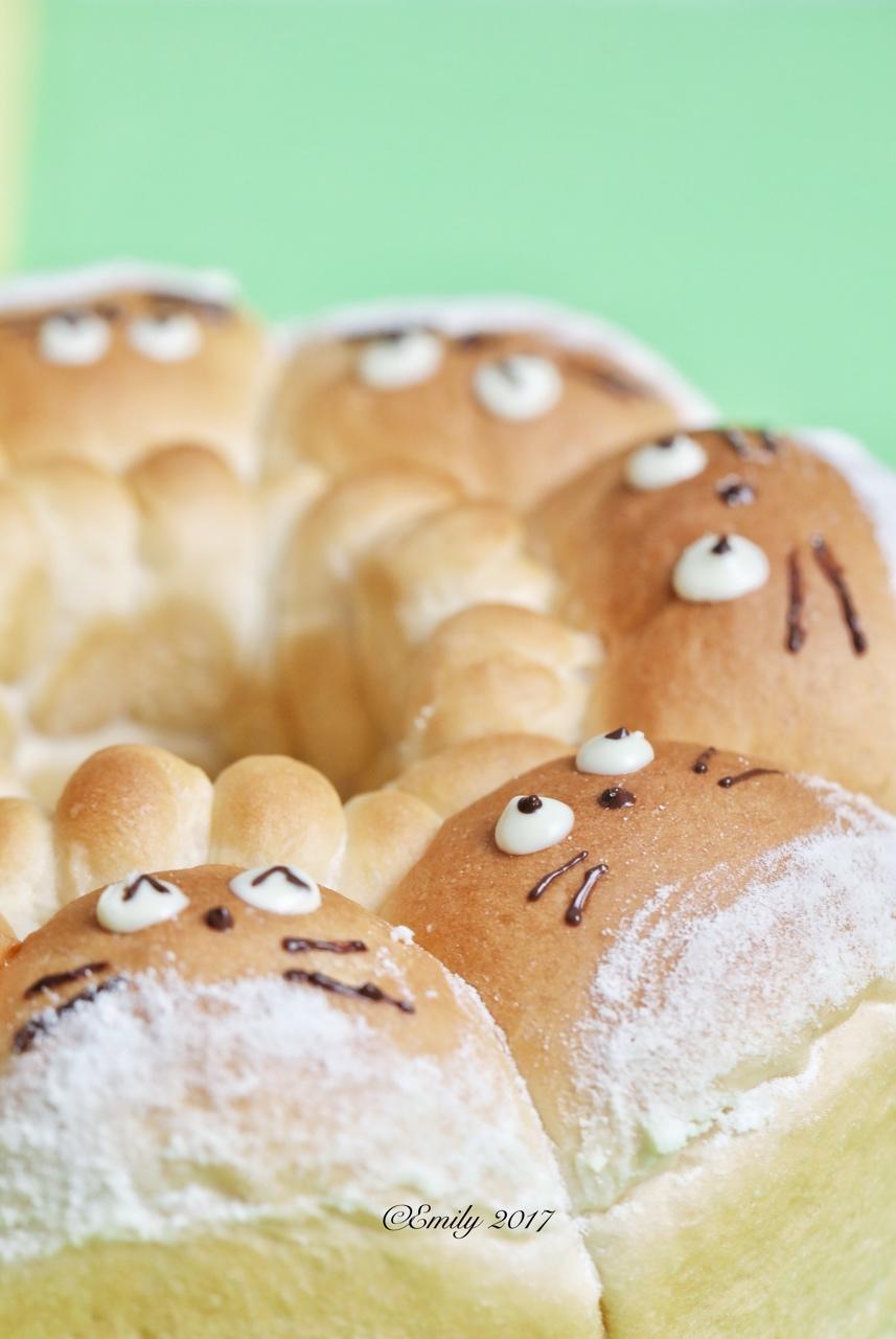 龙猫挤挤小面包