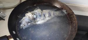凉拌三椒过水鱼的做法 步骤6