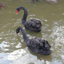 手机用户6711_9nk4