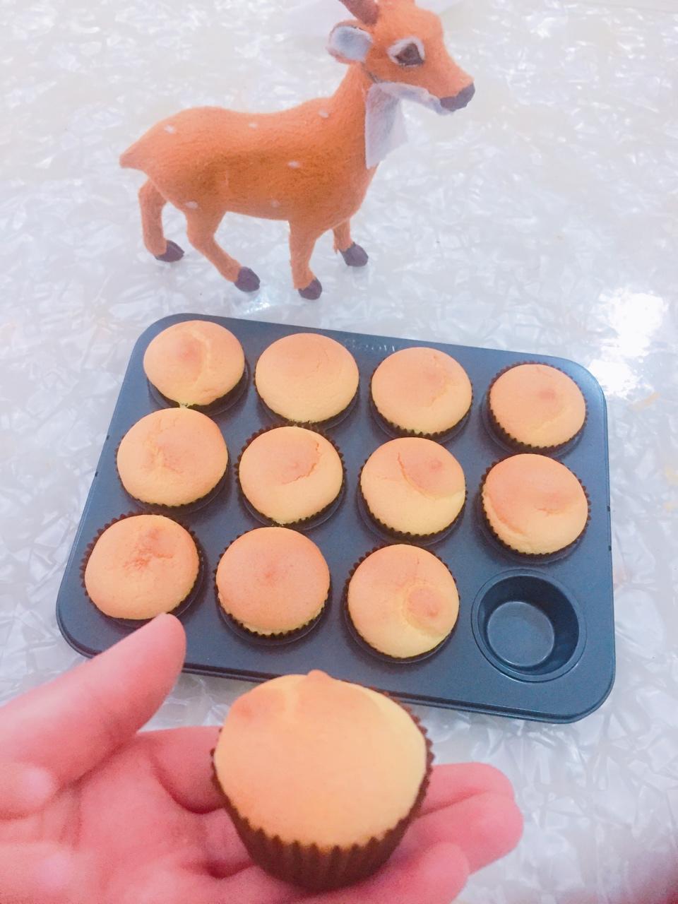 不回缩杯子蛋糕cupcake