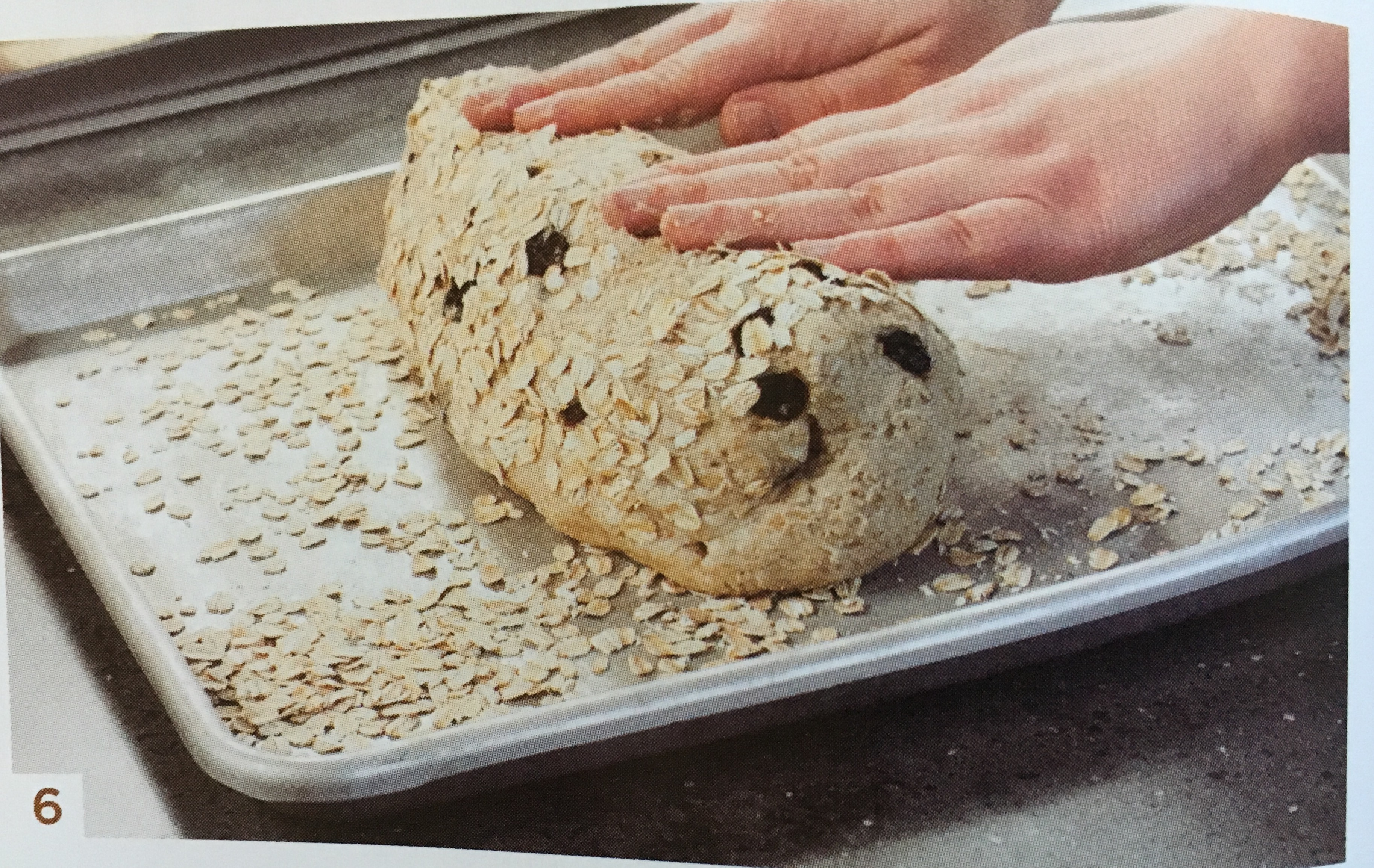 它就是一片固体燕麦粥 --- 燕麦葡萄干面包的做法 步骤6