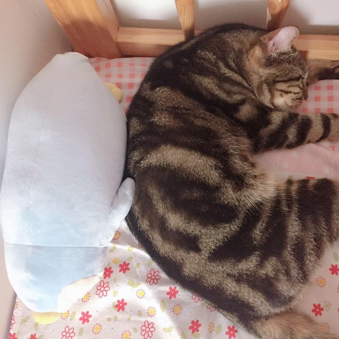 遇见美食控