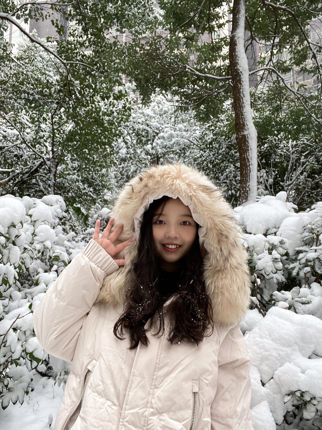 -飯飯飯飯飯團子