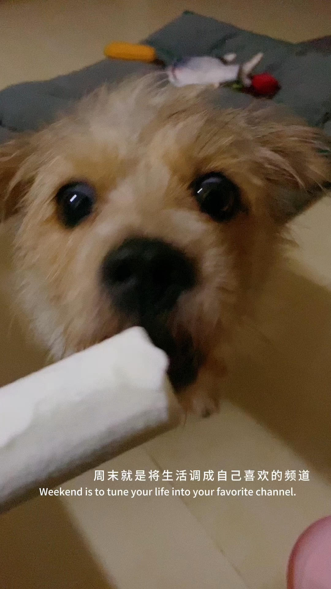 💖🌹yanyan甜品🍮&水果🍓🍒&面包🍞篇