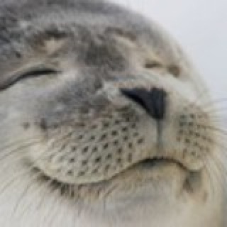锦二爷