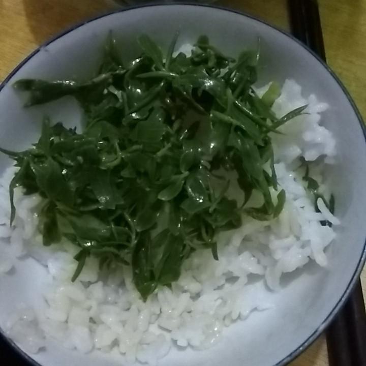 手机用户0931_kgf8