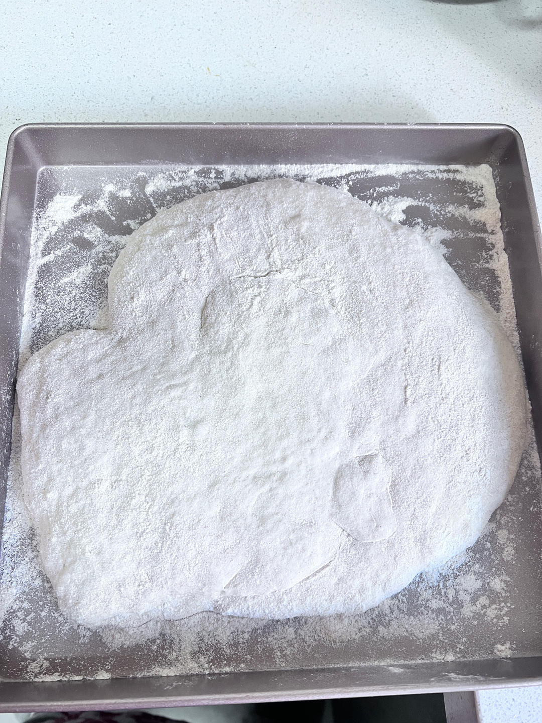 意大利恰巴塔初体验｜无糖少油面包｜波兰种｜大水量