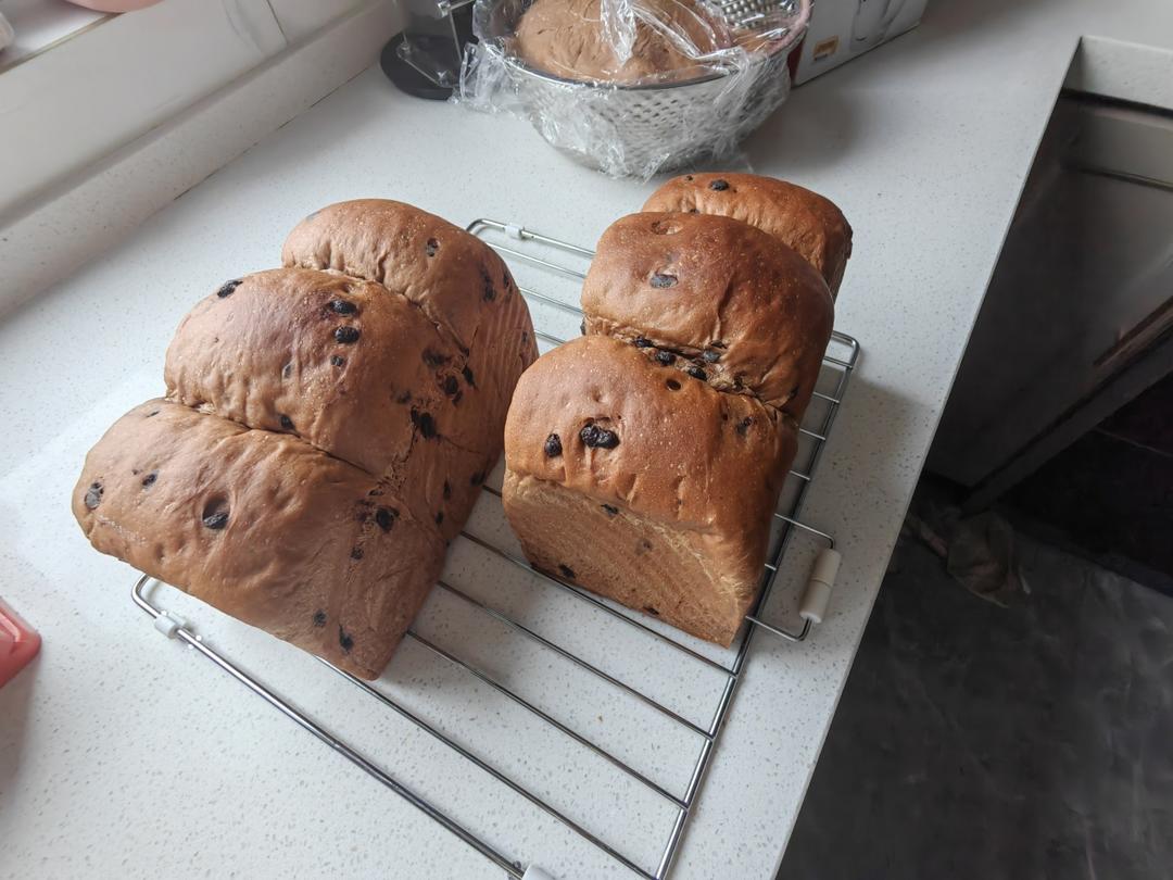 一口就沦陷！巧克力控必做de【双重巧克力吐司】