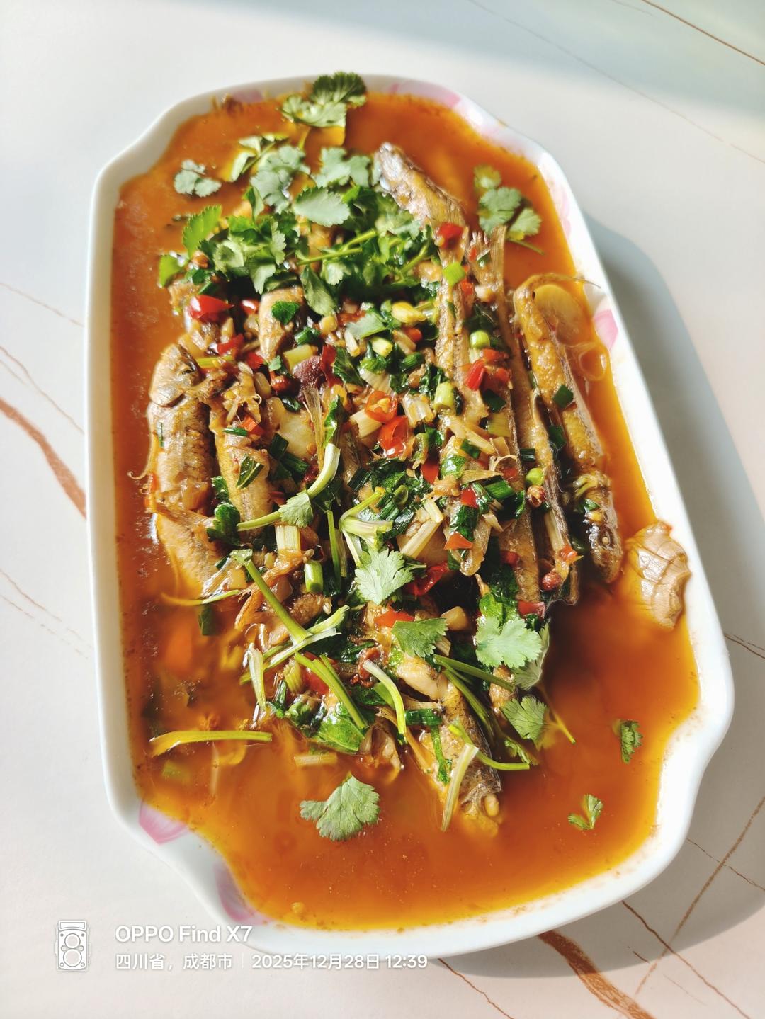 午餐•2025年12月28日