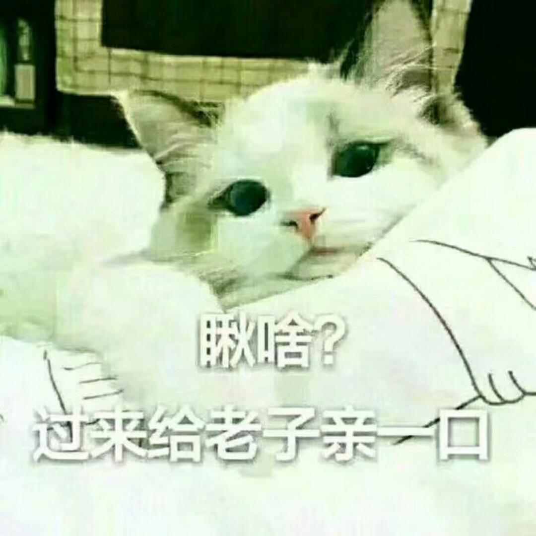 佳丽姐姐姐_envk