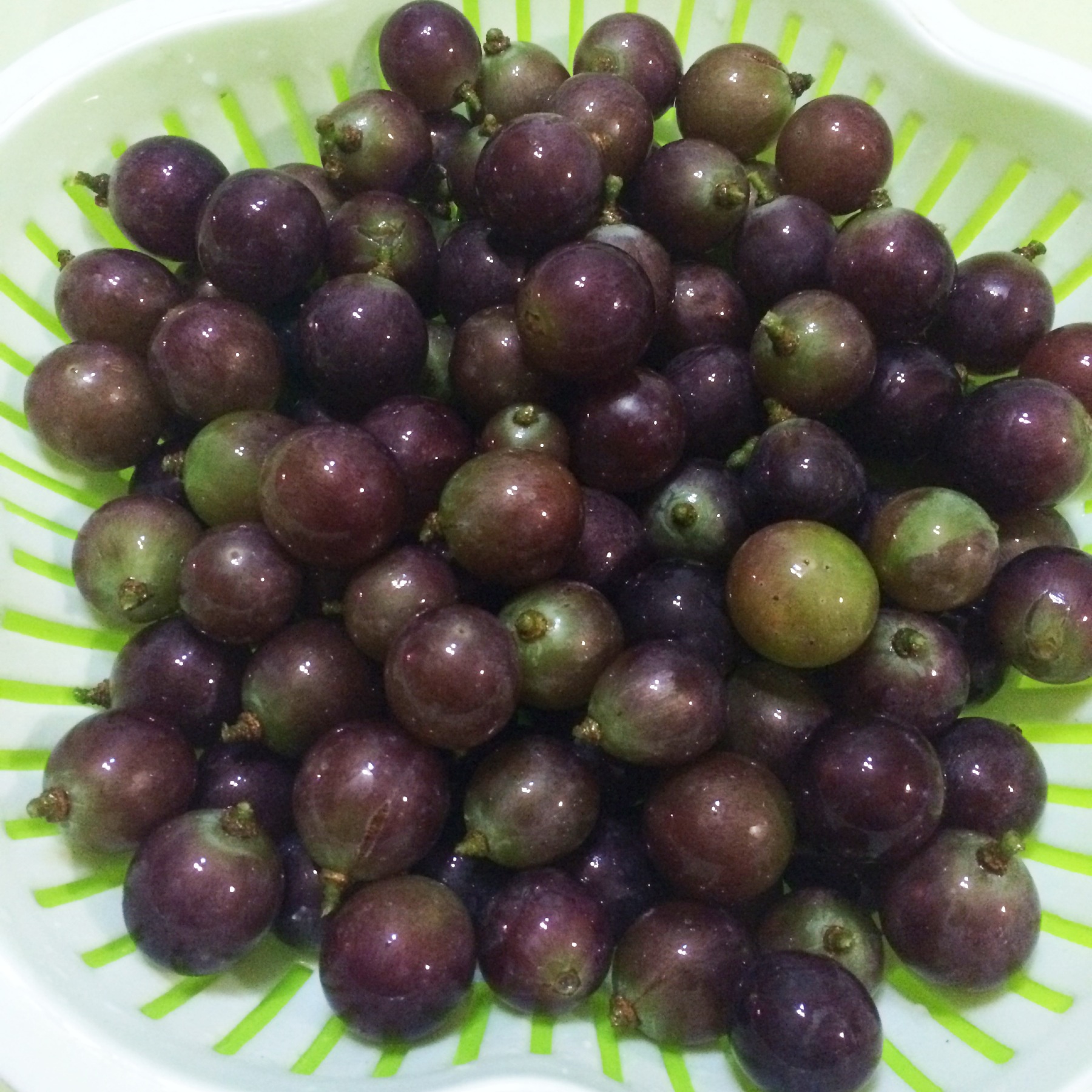 洗葡萄