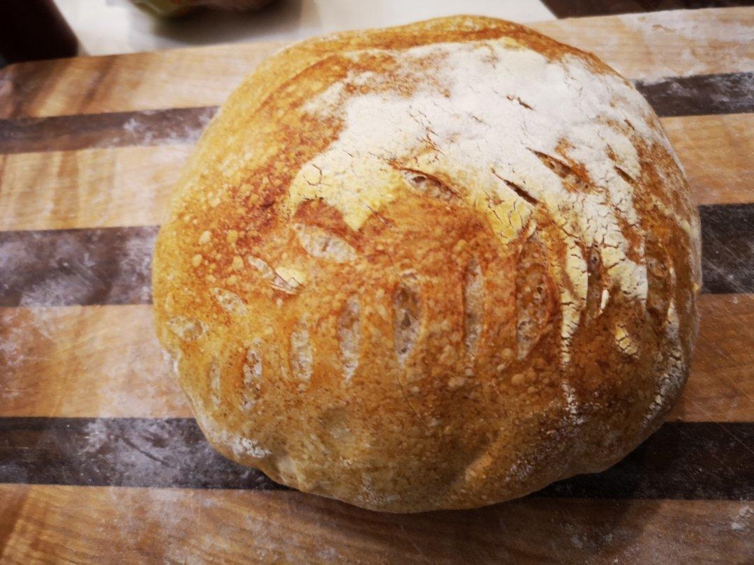 欧包/乡村面包-无油不用揉 No Knead Bread