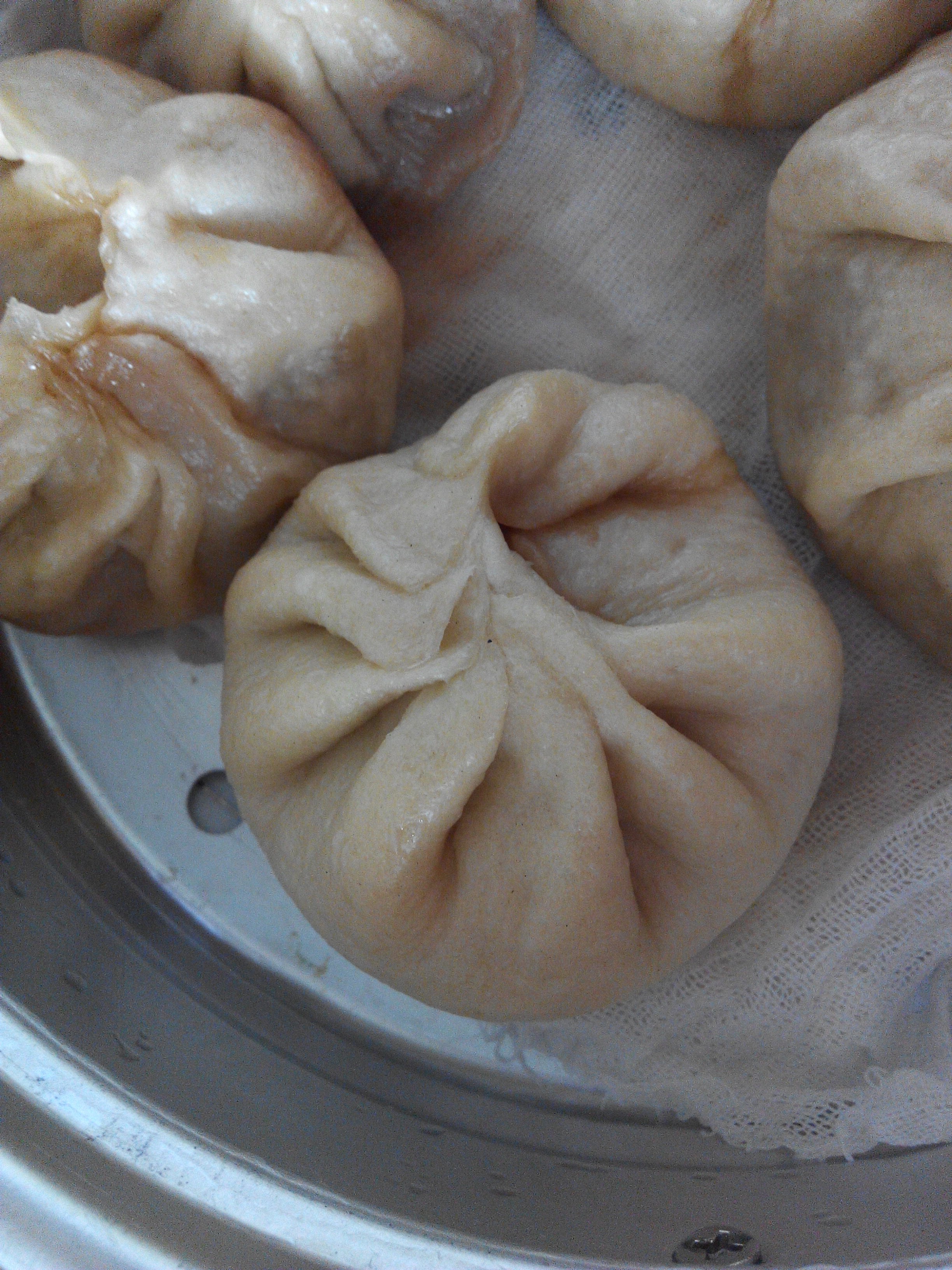 家常蒸包子（新手必学 超详 各式花卷馒头适用）