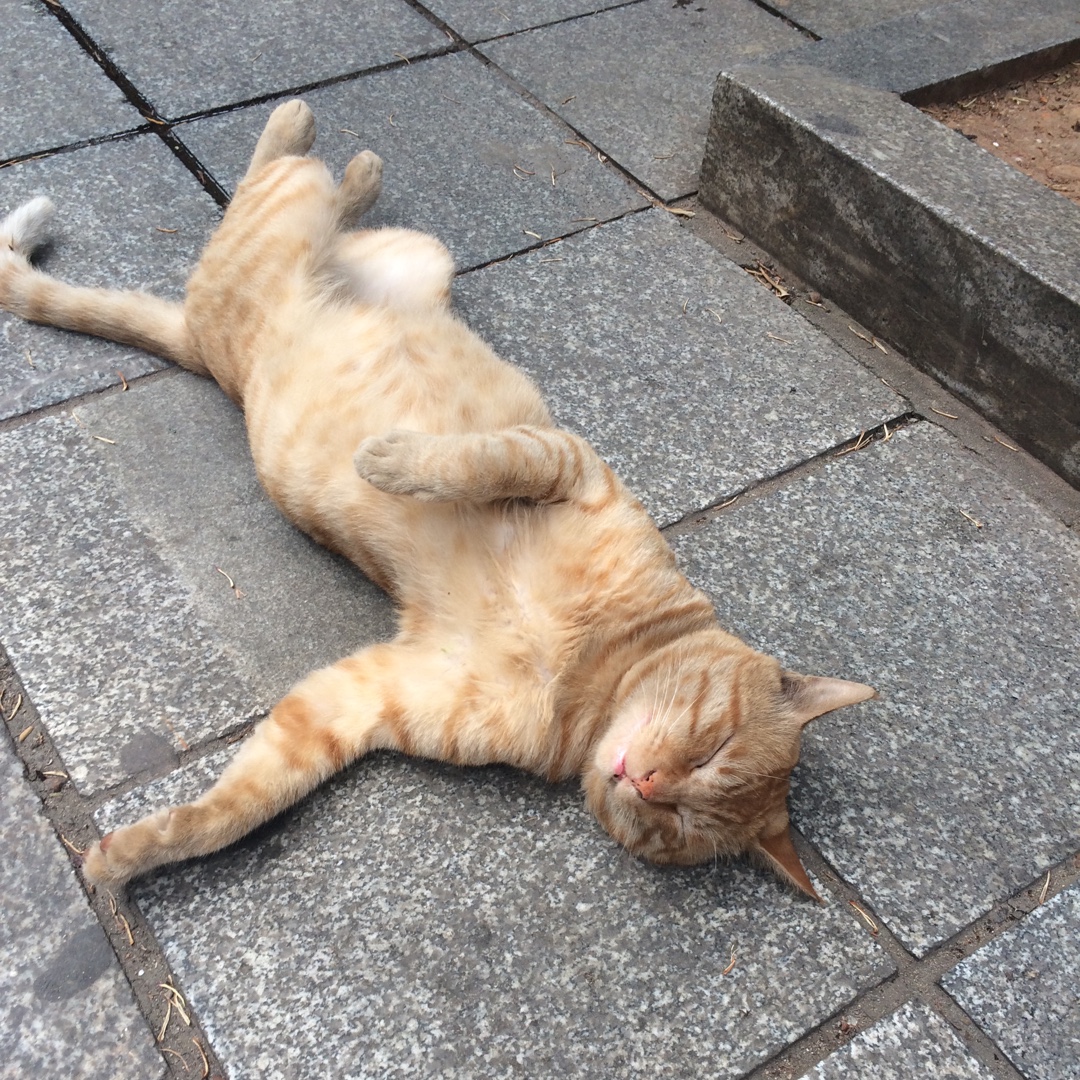 也许还有另一种生活