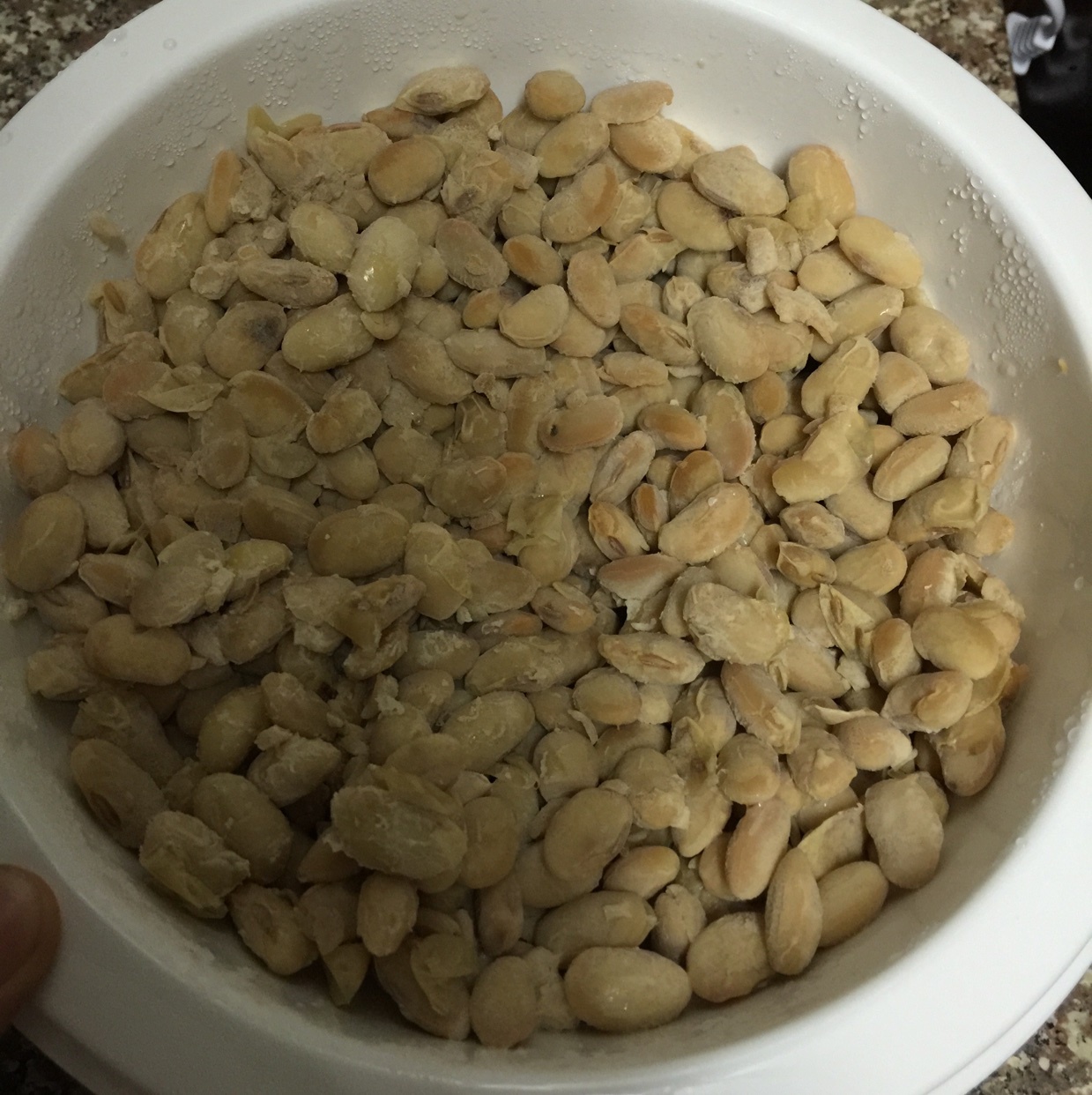 便当盒小护士 快私奔