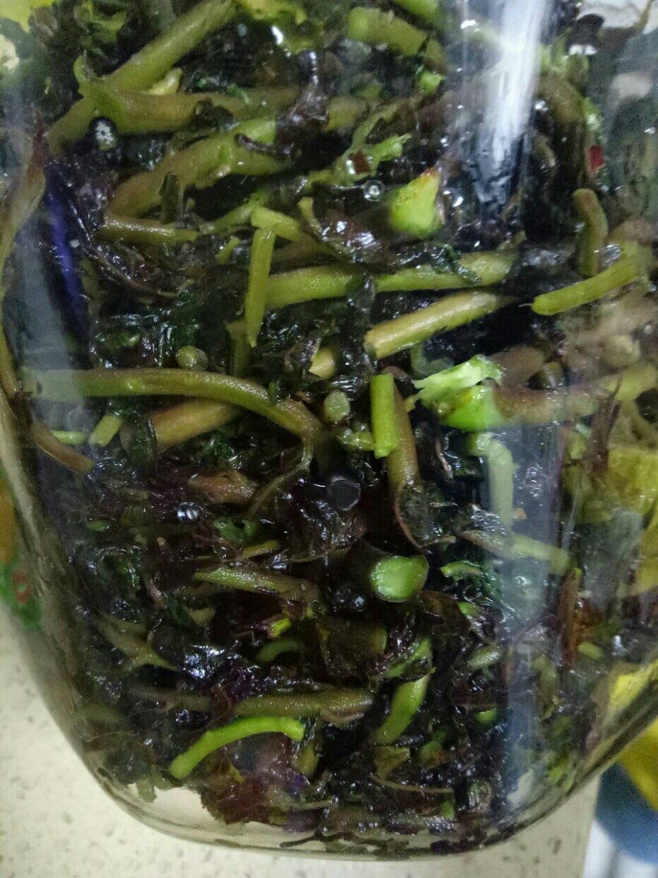 腌香椿