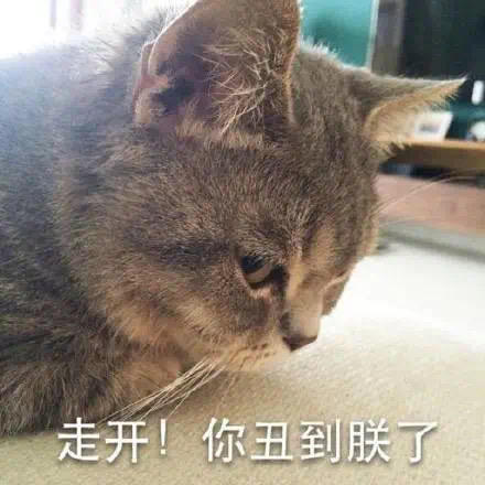 木木易华