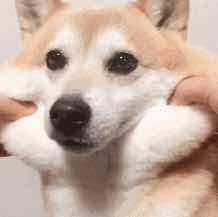 榴莲牛角包